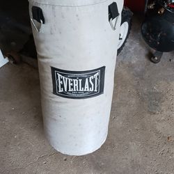 Everlast Punching Bag With Chain 