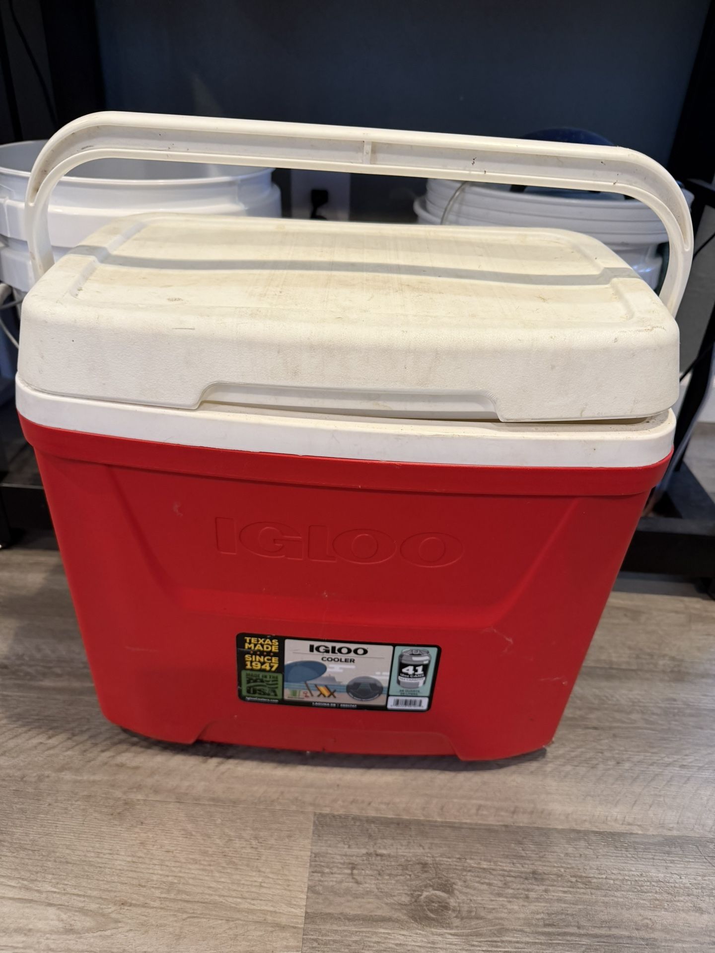 Igloo Cooler