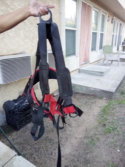 Harness