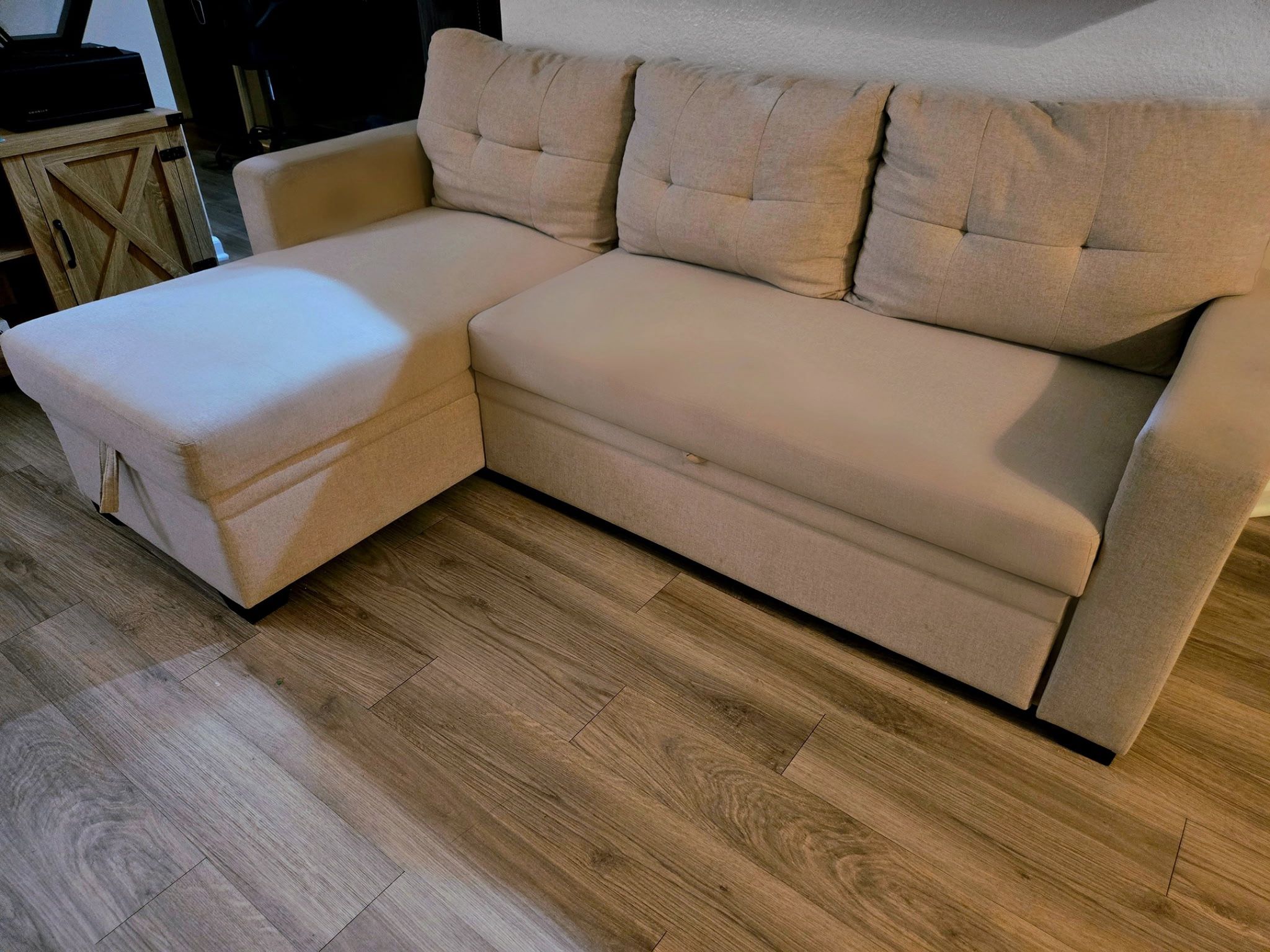 Pull Out Couch
