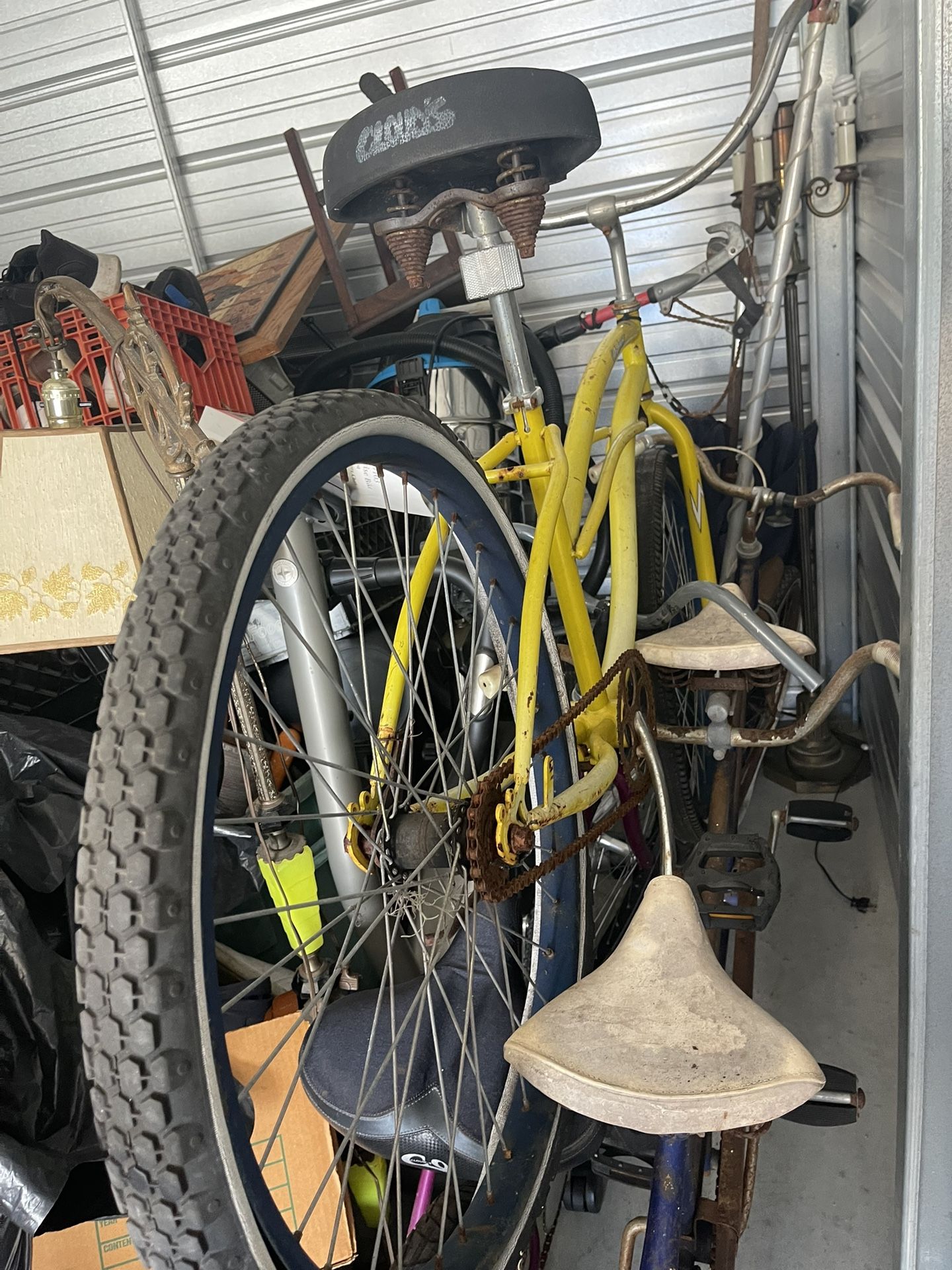 Bikes $50 For All