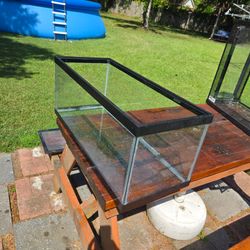 20 gallon fish tank