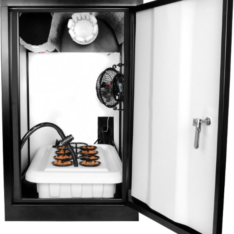 Hydroponic grow box
