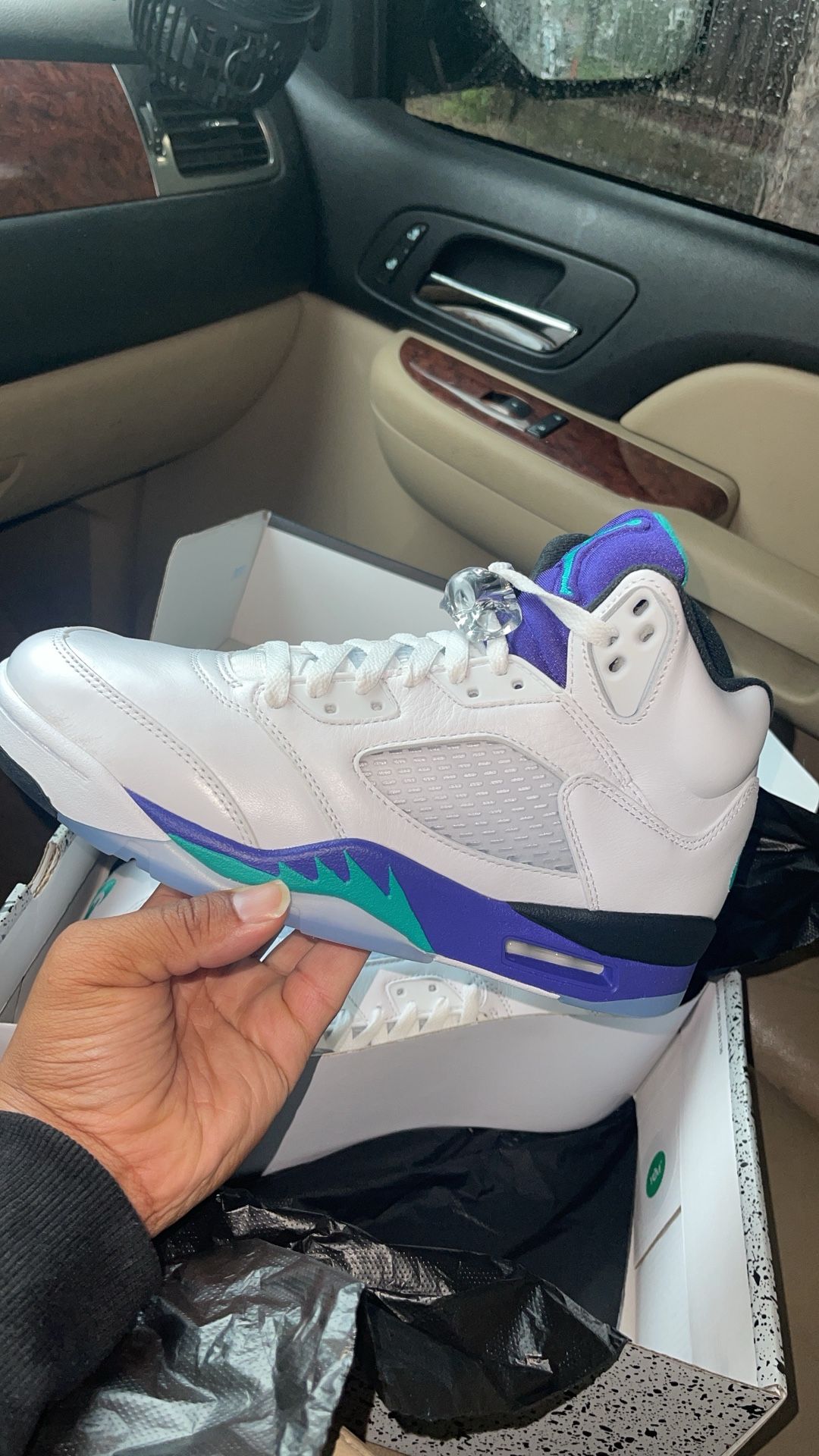 Jordan Retro 5 Grapes.