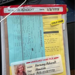 unsolved case files / cold case murder mystery game