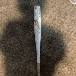 Easton Beast Pro 31 -5 USSSA