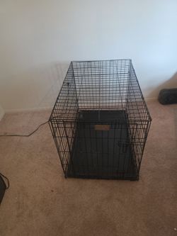 Large Black Wire Dog Crate