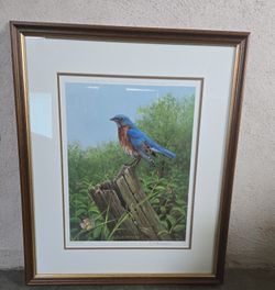 Lovely framed O.J. Gromme print, "On the Watch--Bluebird"