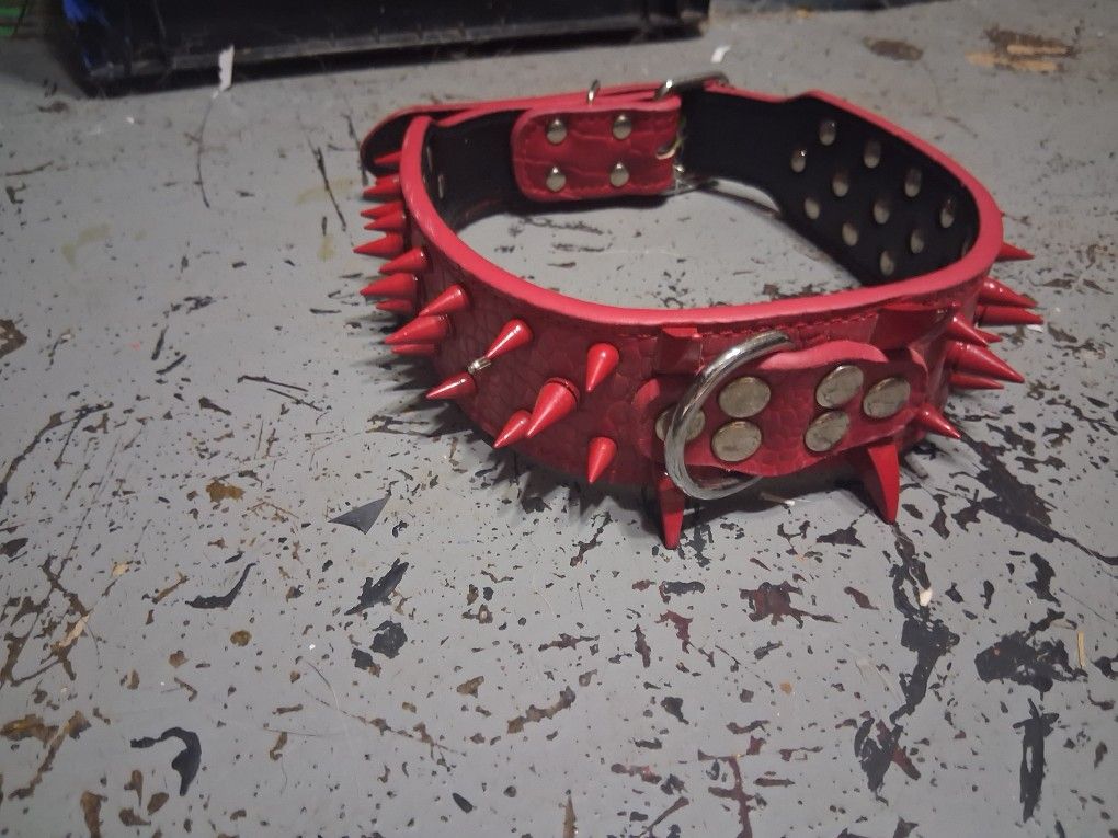 Heavy Duty Dog Collar - Studded Red