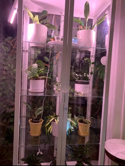 IKEA Milsbo plant nursery cabinet