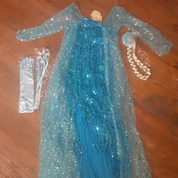 Frozen Dress