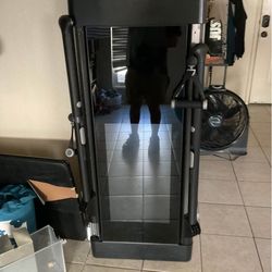 Tonal Workout Mirror 