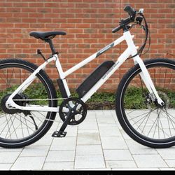 Rad E Mission Bike 