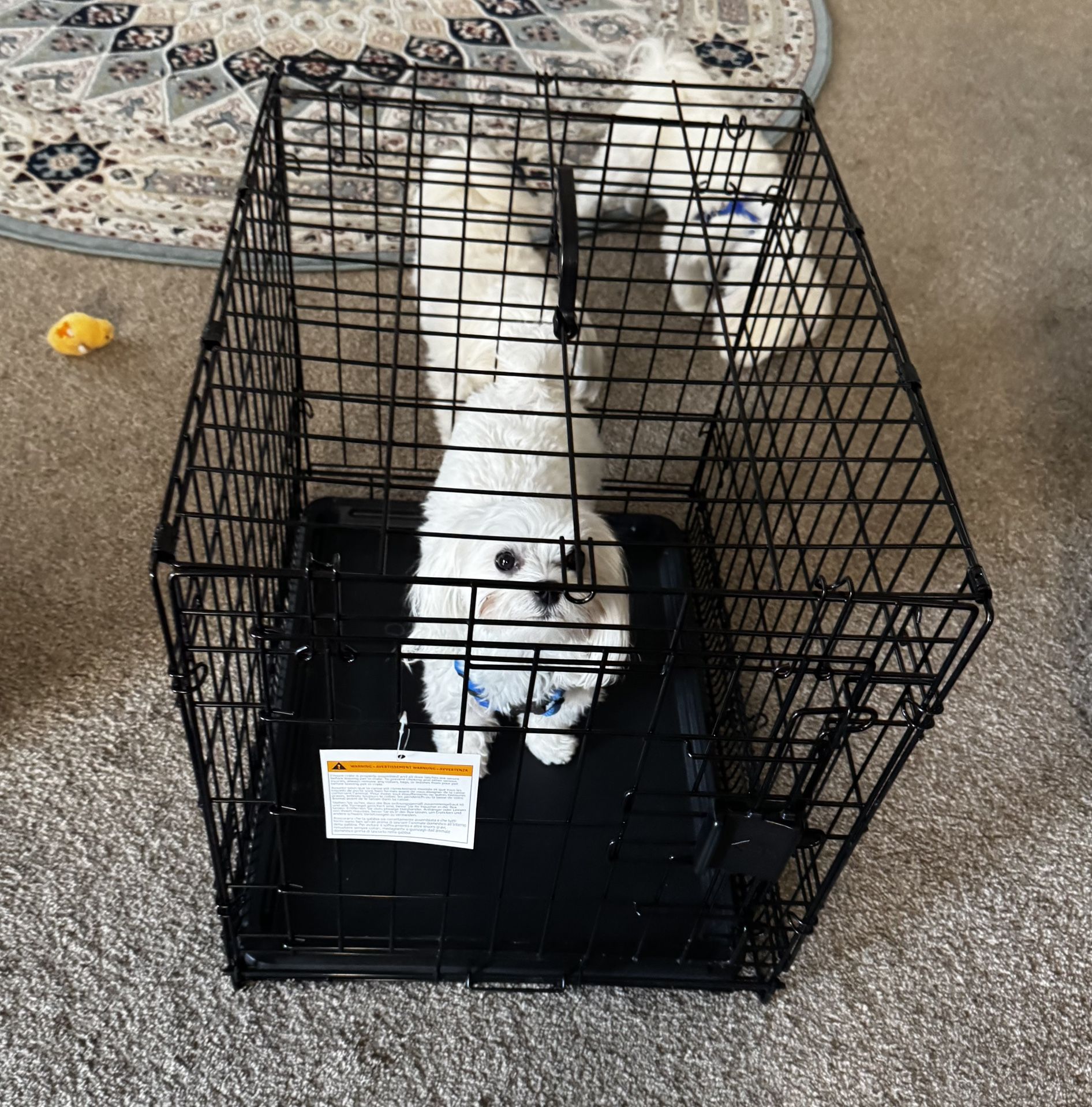 Dog Kennels-Crates