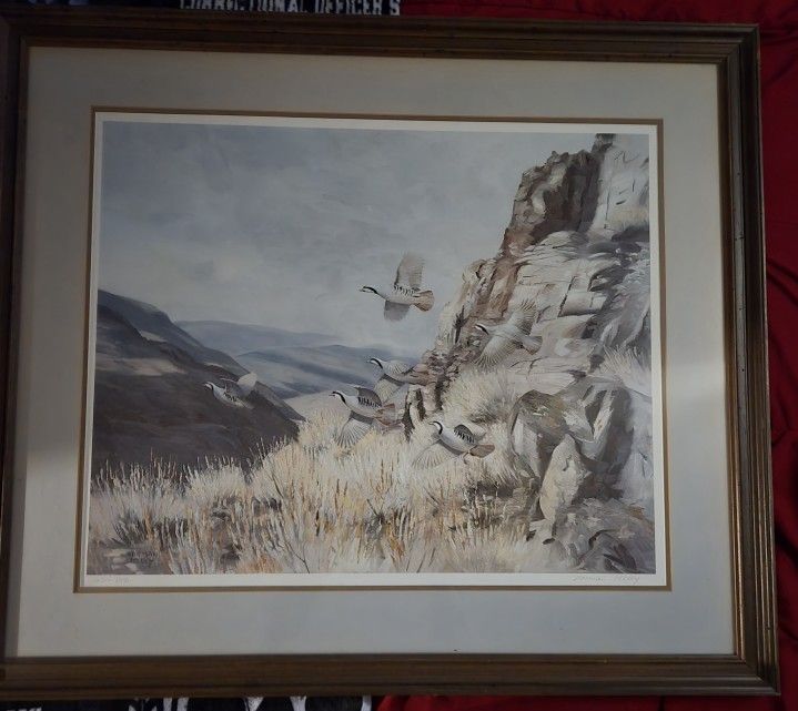 Norman Kelly Picture