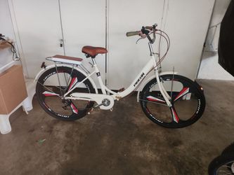 Pigeon City Cruiser Bicycle