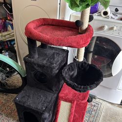 Cat Condo 