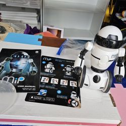 MIP Robot Toy
