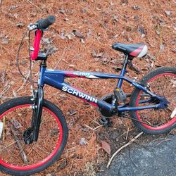 Schwinn Bike