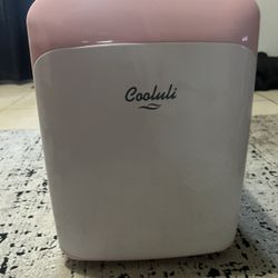 Mini Refrigerator 