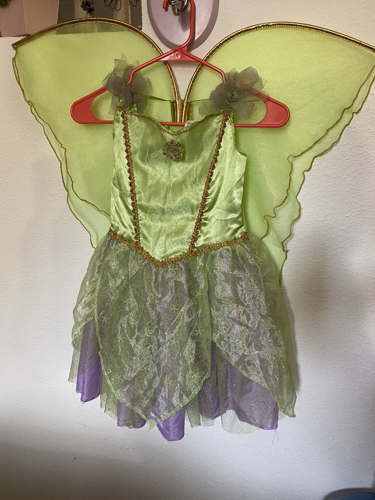 Tinkerbell costume with wings
