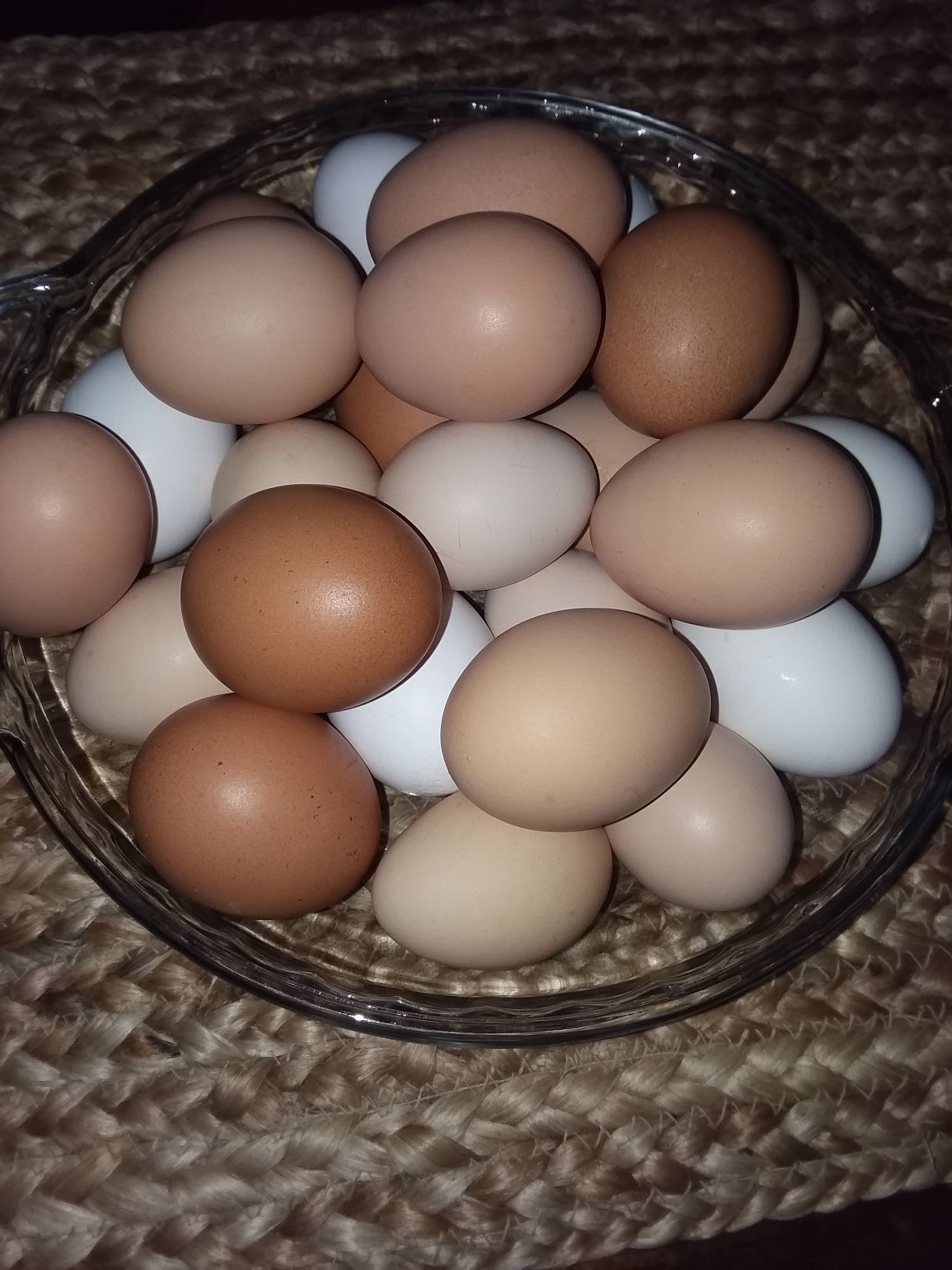 Organic Eggs