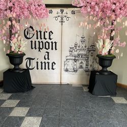 2     5ft Cherry blossom trees