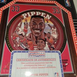 Pippen Plaque #33 Numbered Edition 1993!