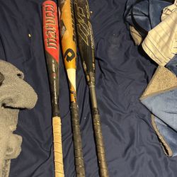 Bats For Sale 
