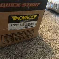 172563 Strut Assembly 