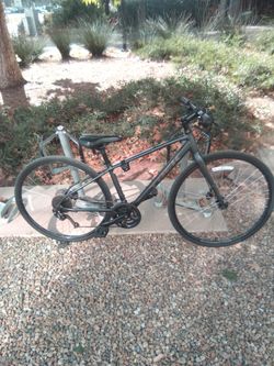 Trek FX 2