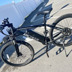 Electric Mountain Bike