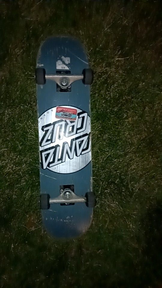 Santa Cruz Skate Board
