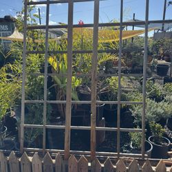 4 x 5 Wood Trellis