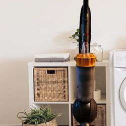 Dyson  DC 40 Vaccum 