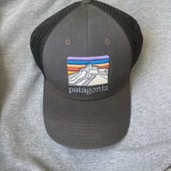 Patagonia Trucker hat