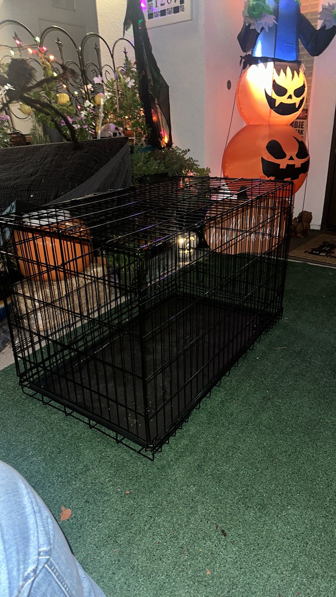 Dog Kennel