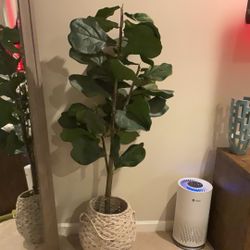 Fake plant