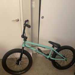 Sunday 20.5inch