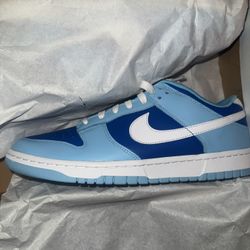 Nike Dunk Low Argon Size 10.5 New