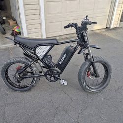 Ridstar-Q20 Electric-Bike