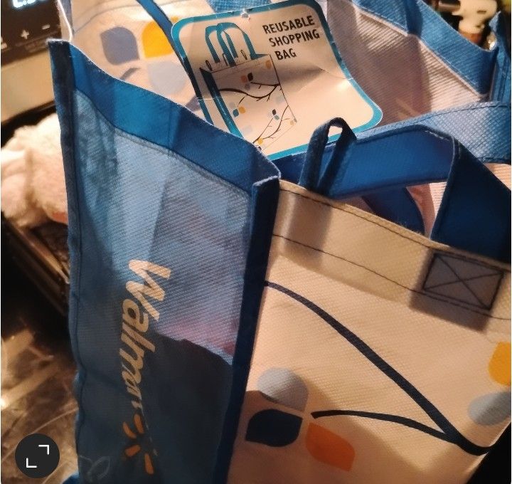 Walmart Shopping Bag