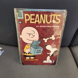Snoopy And Charlie Brown Peanuts Faux Vintage Metal Sign 