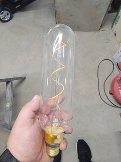 2 Edison Bulbs
