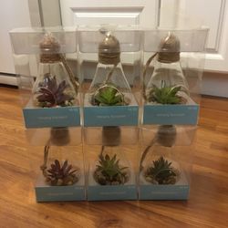 Artificial Succulent Plant Hanging Ornament Clear Glass Display Terrarium All 6 For $25