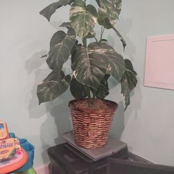 Artificial House Plant