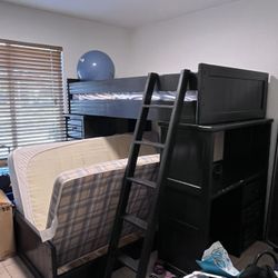 Crate & Barrel Bunk bed set 