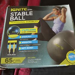 Fitness Stability Ball