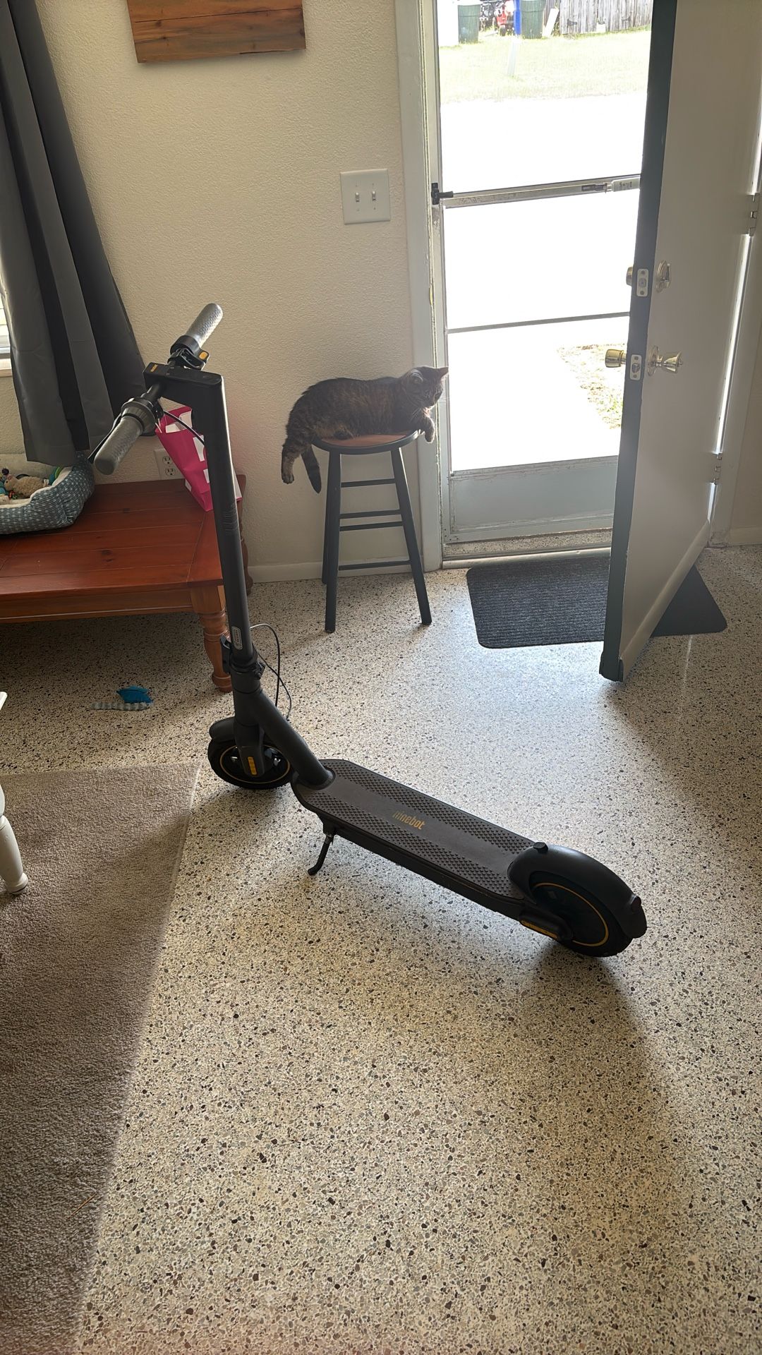 Ninebot Segway Electric Scooter