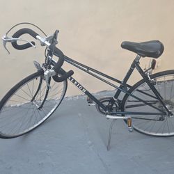 Raleigh Bike Vintage 700c